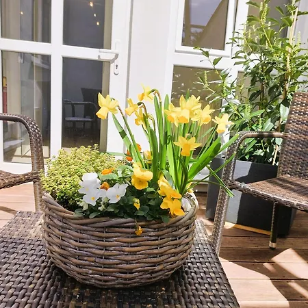 Interest Vitalhotel - Partnerbetrieb Von 4*